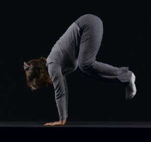 CYA349_300w-web.jpg